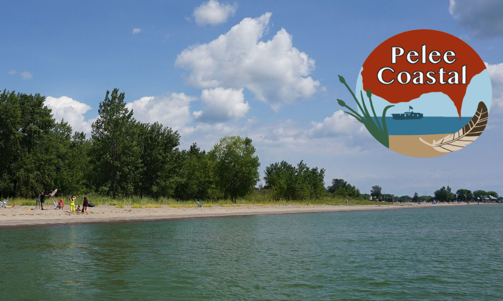The Lake Erie shoreline and the Pelee Coastal logo.